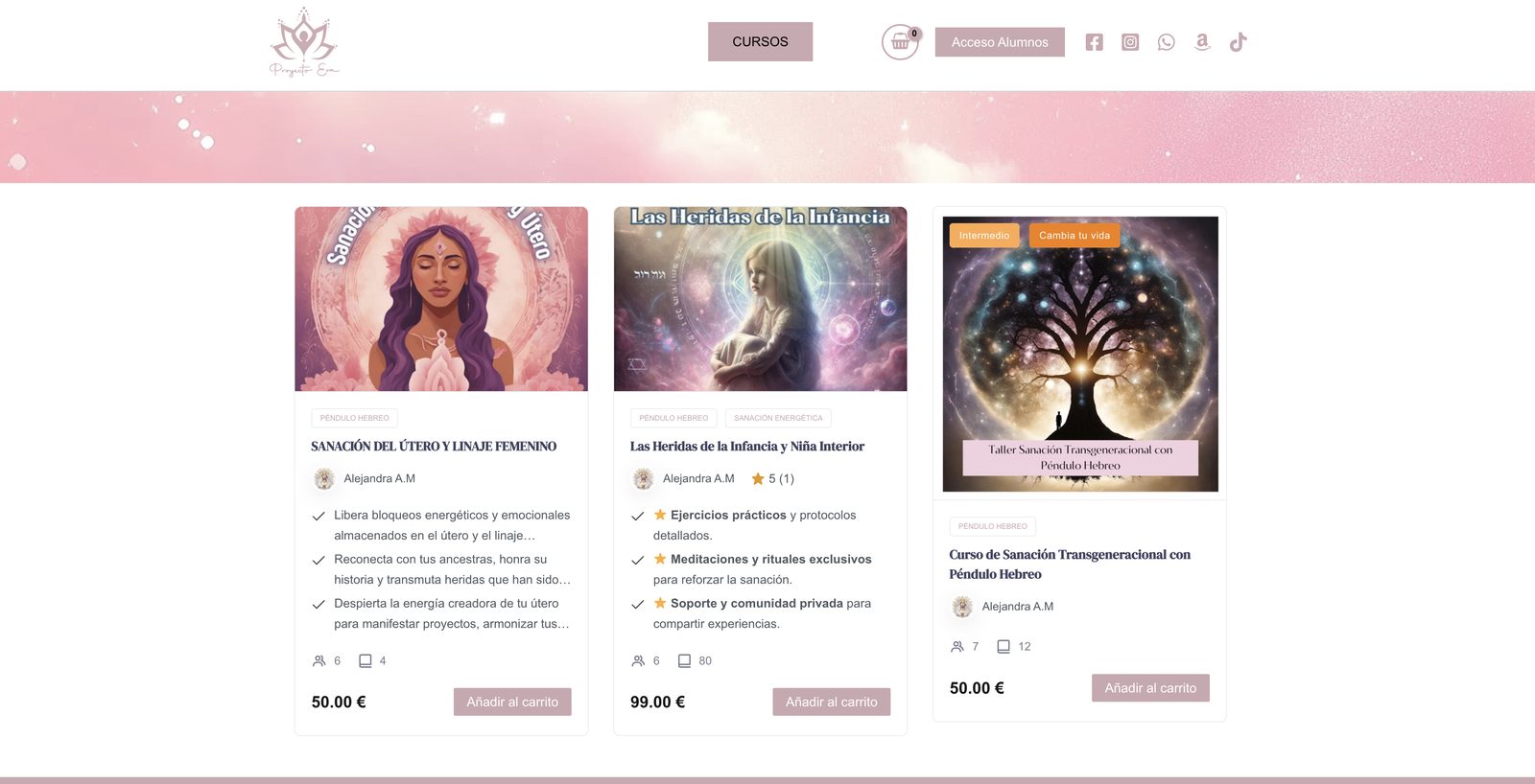 Catálogo de cursos de una academia online en WordPress diseñada por La Mona Espacial