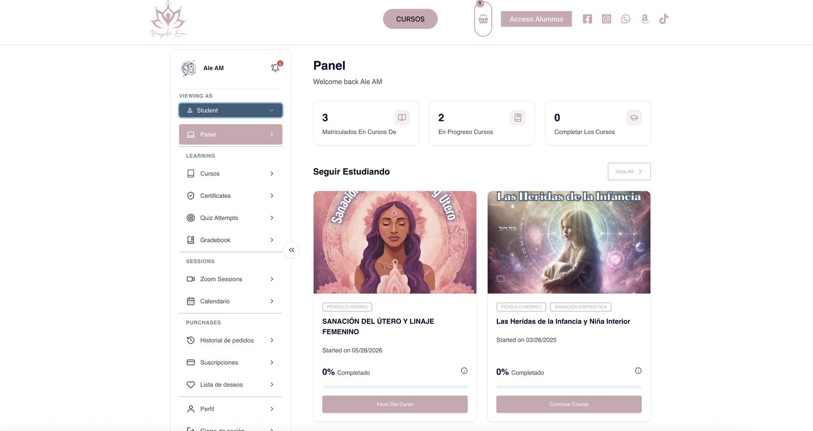 Área de alumnos de una academia online en WordPress diseñada por La Mona Espacial